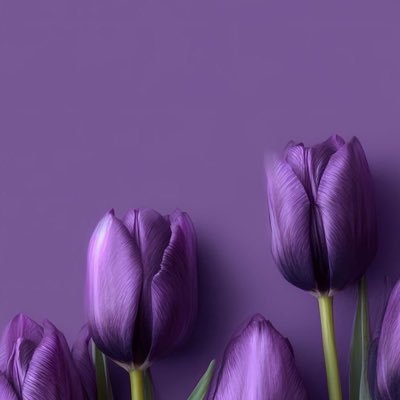 _KatlehoL's profile picture. ig: Kat.leho • Chelsea FC • Isaiah 41:10 •