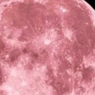 gufran_mb9's profile picture. 