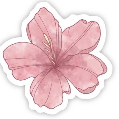 lmolmo100's profile picture. طالبة تمريض 💉💪🏻في @kauedu_sa وقائدة لدفعة @Nur_24_KAU ونائب رئيس تنفيذي للفريق الطبي في @1Asoolksa وامين للجنة الاجتماعية @nurs_kau مهتمة بالتطوير والابتكار