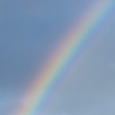 CLazaridis8480's profile picture. 