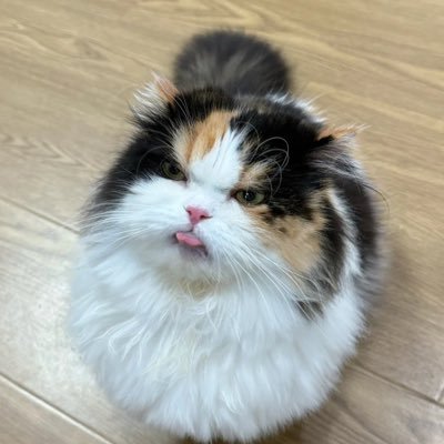 depresyied's profile picture. 