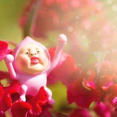 tUXPyJMhDZ1603's profile picture. 