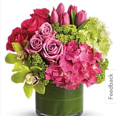 lisalurse's profile picture. 