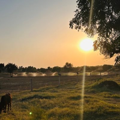 beraganga1's profile picture. Rajasthan police sub inspector ⭐️⭐️. Ex Delhi police