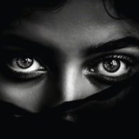 DARK (@hd_porn_50) 's Twitter Profile Photo