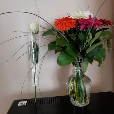 Janne56647694's profile picture. réside as Nice