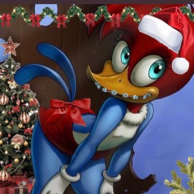 winniepicapau's profile picture. contadora com o nome sujo no serasa e fofoqueira interestadual