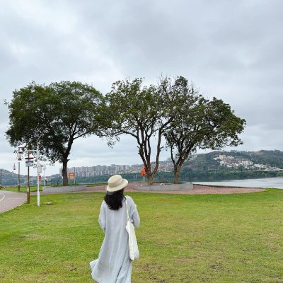 reyzin077's profile picture. Live towards the sun, chase your dreams bravely; challenges are the stepping stones to success.