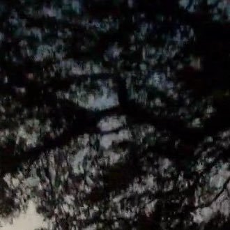 hotdeepguy2006's profile picture. 