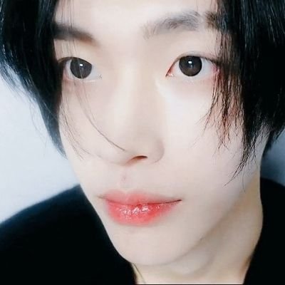 ccnout_bubble's profile picture. akun daily