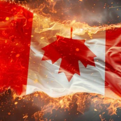 nice2b_offduty's profile picture. Snaccidentally sarcastic Canadian. Anti-woke warrior fighting the good fight against Liberal lunacy. Armed with humour, not hugs. #SorryNotSorry NO DM'S