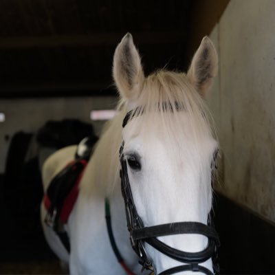 HandleWithDare's profile picture. "Erase a people’s past, and you control their future." – George Orwell “An evil man will burn his own nation to the ground to rule over the ashes." -Sun Tzu