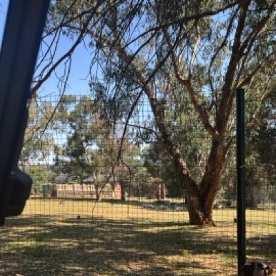 yusuftalaat2025's profile picture. فَمَا كُلّ مَنْ قَالَ قَوْلاً  وَفَى 
وَلا كُلُّ مَنْ سِيمَ خَسْفاً أبَى

#المتنبي
#الحريه_للمعتقلين #الحريه_لمصر .