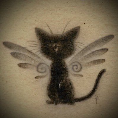 imy_main_'s profile picture. ∔†