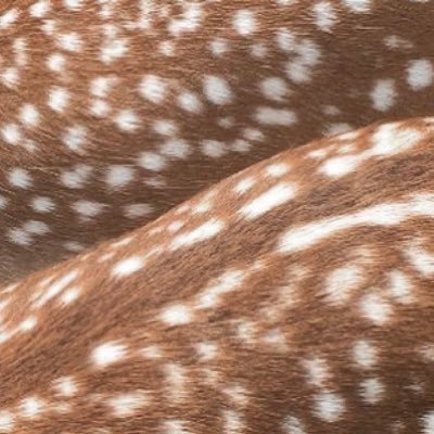 issnnotdave's profile picture. . ݁₊ ⊹ . ݁ 𝓁iving in 4D!⟡ ݁ . ⊹ ₊ ݁.