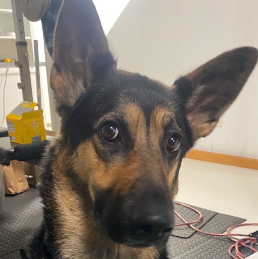 JoeHamelx3bg's profile picture. 