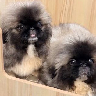 CaressPp's profile picture. You made me found a happy me @ppkritt 🤍 The best things in life are better with you #ppkritt