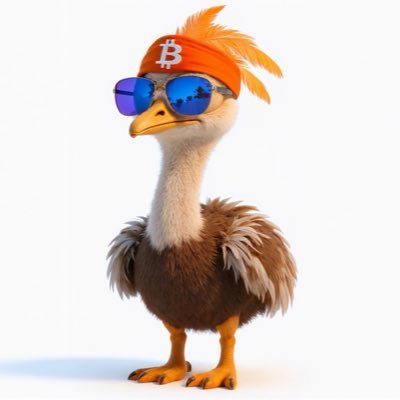 ZapfinityBTC's profile picture. Zapi says hi👋 Bitcoin. Business. Fun. Turning Europe orange, one zap at a time⚡️zapfinity