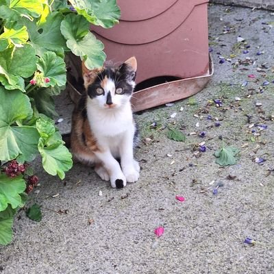 KemalYsfCkr's profile picture. Hiçkimse umrumda değil,hesap sorarım!
Motorları maviliklere süreceğiz,buna İNANIN ÇOCUKLAR! #FB #MKA