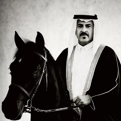 Alkithiri512's profile picture. مرشود الكثيري اللامي الطائي | مهتم بالصقور
