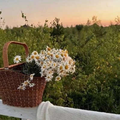 ALhanoof_3h's profile picture. لو شان وقتي ماتشين أخلاقي •