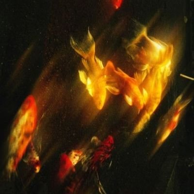 VroomVroomP's profile picture. CS MS @umassamherst