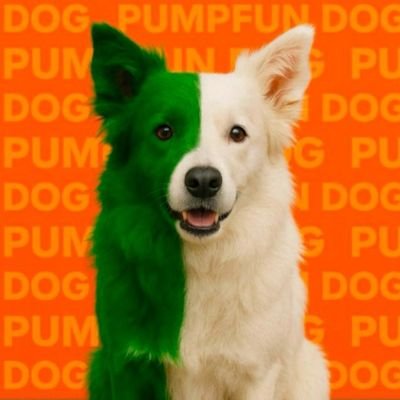 danielN18N's profile picture. chill &Web3