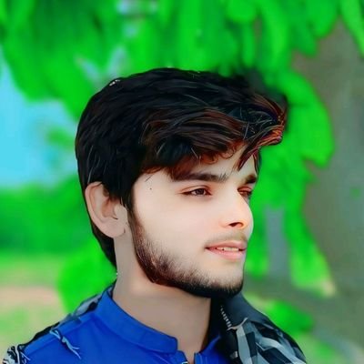 0xmaliktaswar's profile picture. 