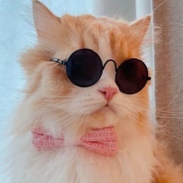 ggpnp's profile picture. 