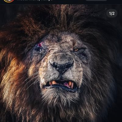 Sfat_86's profile picture. 