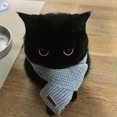 hoshi_esthe's profile picture. #在籍🍜特化｜日本中の名店を貴方にお届け｜最新情報はハイライトまで🐾｜未経験大歓迎◎｜お問い合わせ先→ https://t.co/Iv1dvJPJRz