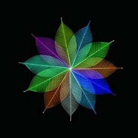 Amaippaithiral's profile picture. Collective voices for social justice and equality. Organizing, inspiring, and uniting change-makers in Tamil Nadu. #Jaibhim #Solidity #Social justice #Dalit