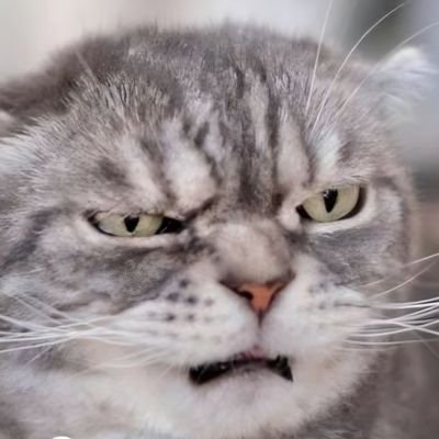 F9_GAME's profile picture. 