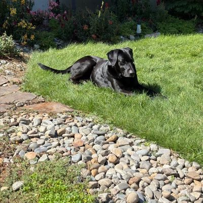 Spokane4freedom's profile picture. 🇺🇸 Seattle 👉🏻 Selah 👉🏻 Spokane