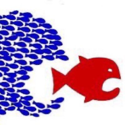 yesimaprouddem's profile picture. "If not now, when?" Cat mom, proud wife of a cat dad, we foster guinea pigs. No human children. Pro-choice. Love is love. Pantheist. Wanderlust.