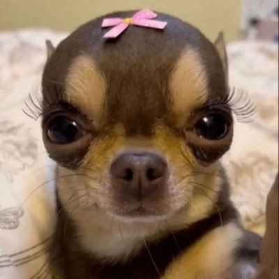 bamti9522901's profile picture. ♀ 20↓ 가공多!!!