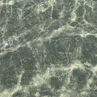 ttkiopp's profile picture. eu sou o rei de mim