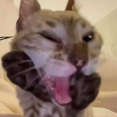 yuarenana's profile picture. apapun itu, hrs ke twiter