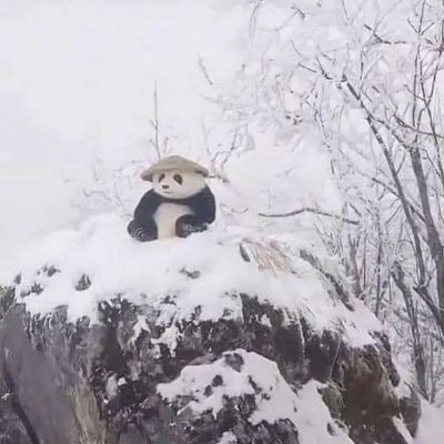 Longlegontable's profile picture. Winna casino
Best rewards VIP transfer 
Code https://t.co/VpFqPpOfwc
People who lose a lot lof money monthly message me for kickback