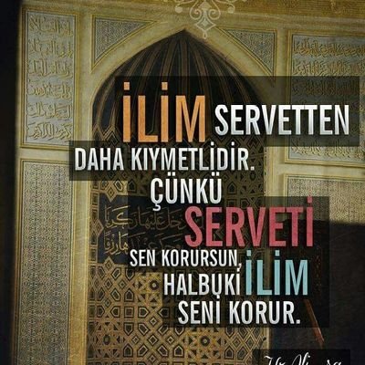 mrymtnc35's profile picture. 