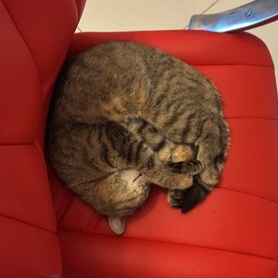 RiyanMADAO's profile picture. 