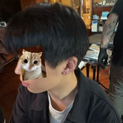 mmgbF3CdJa52737's profile picture. 