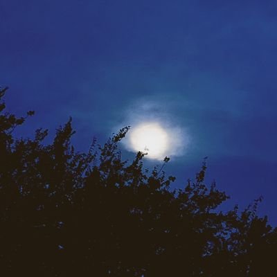 Cypher05826's profile picture. Idk