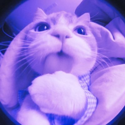 livv_hq's profile picture. every unconverted break point kills one kitten