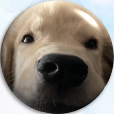 jaosingtonoy1's profile picture. ૮꒰ ˶• ༝ •˶꒱ა 𓐖﹗ ˖ ་ #tlefirstone #thomaskong