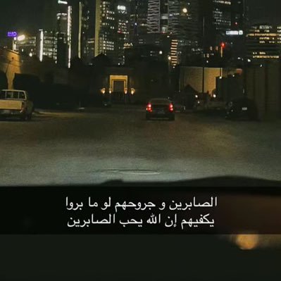 ll84167521's profile picture. 