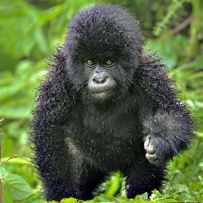 KUNFEI_ART's profile picture. ARTS