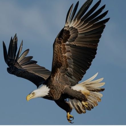 tan87280's profile picture. Pakistan 🇵🇰 Zinda Bad

SSG the King of the Battle