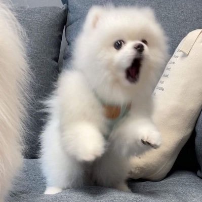 ____4ine's profile picture. これはお気持ち表明アカウントです。あえる屋さん垢▶︎@syla_yumekoi