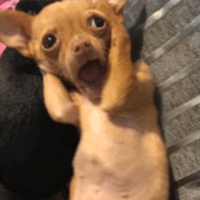 Perzceval's profile picture. PSG | Arsenal